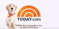 VIDEO: Wrangler, TODAY's Puppy With A Purpose, Has A Family For Life