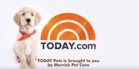 VIDEO: Wrangler, TODAY's Puppy With A Purpose, Has A Family For Life Video
