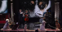 VIDEO: Laurie Anderson Performs a Special Song For Dogs on LATE SHOW Video