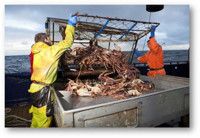 VIDEO: Sneak Peek - 12th Season of Discovery's DEADLIEST CATCH Premieres Today Video