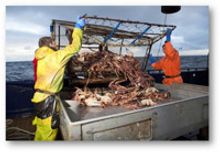 VIDEO: Sneak Peek - 12th Season of Discovery's DEADLIEST CATCH Premieres Today