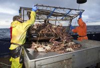 VIDEO: Sneak Peek - 'First Timers' on Tonight's DEADLIEST CATCH