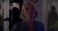 VIDEO: First Look - Ellen Barkin Stars in New TNT Drama ANIMAL KINGDOM