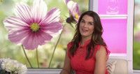 VIDEO: Brooke Shields Talks Hallmark TV Movie 'Flower Shop Mystery' on TODAY
