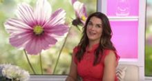 VIDEO: Brooke Shields Talks Hallmark TV Movie 'Flower Shop Mystery' on TODAY