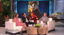 VIDEO: ELLEN Gives CAPTAIN AMERICA's Chris Evans & Elizabeth Olsen an Epic Scare!