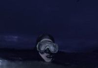 VIDEO: Discovery Announces All-New 'Shark Week' Programming Lineup