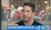 VIDEO: David Schwimmer Talks New Project 'Feed the Beast' on TODAY