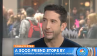 VIDEO: David Schwimmer Talks New Project 'Feed the Beast' on TODAY Video