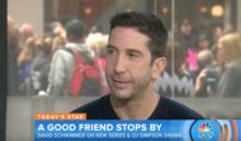VIDEO: David Schwimmer Talks New Project 'Feed the Beast' on TODAY
