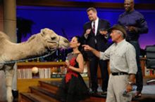 VIDEO: Lucy Liu, Terry Crews & James Corden Have Fun with Animals on LATE LATE SHOW