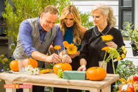 VIDEO: 'Bringing Back Potter's Monica Potter Visits Hallmark's HOME & FAMILY Today Video