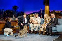 VIDEO: Aaron Paul & Piper Perabo Meet Some Exotic Friends on JAMES CORDEN Video
