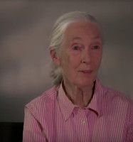 VIDEO: Netflix Shares THE IVORY GAME Featurette with Dr. Jane Goodall