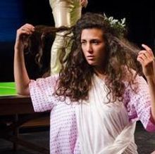 Photo Flash: First Look at KARAOKE BACCHAE, Starting Tonight as Part of Ice Factory 2