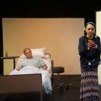 Photo Flash: ShPIeL's World Premiere of the Israeli Political Satire ANGINA PECTORIS