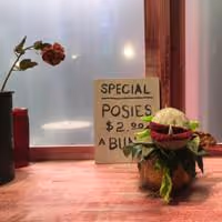 Photo Flash: Here Comes Audrey II! First Look at LITTLE SHOP OF HORRORS at Dante…