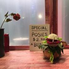 Photo Flash: Here Comes Audrey II! First Look at LITTLE SHOP OF HORRORS at Dante Hall