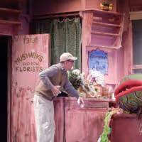 Photo Flash: First Look at LITTLE SHOP OF HORRORS at Dante Hall
