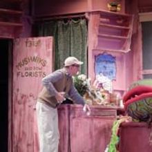 Photo Flash: First Look at LITTLE SHOP OF HORRORS at Dante Hall