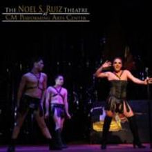 Photo Flash: PRISCILLA QUEEN OF THE DESERT Speeds into The Noel S. Ruiz Theatre