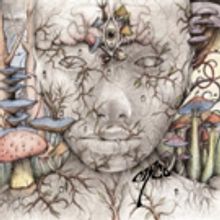 Mind-Bending, Mushroom-Inspired Band Myco Releasing Self-Titled Debut