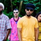 Prince Paul, Ladybug Mecca Drop Mixtape