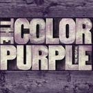 VIDEO: Cynthia Erivo, Isaiah Johnson Discuss The Healing Experience of THE COLOR…