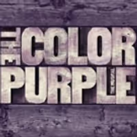 VIDEO: Cynthia Erivo, Isaiah Johnson Discuss The Healing Experience of THE COLOR… Video