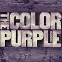 VIDEO: Cynthia Erivo, Isaiah Johnson Discuss The Healing Experience of THE COLOR…