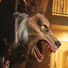 Stark Naked Theatre to Stage American Classic WHO'S AFRAID OF VIRGINIA WOOLF?