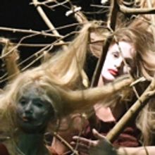 BWW Review: PROVINCIAL DANCES THEATRE Offers an Auspicious Start to AMERICAN DANCE FE