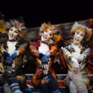 BWW Review: CATS Are Prowling In Adelaide Again