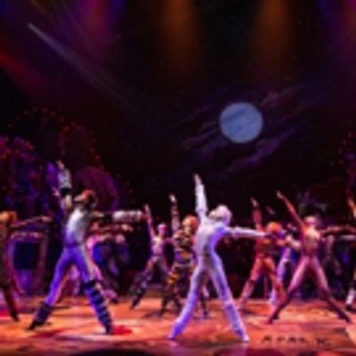 TV: They're Back! Watch Highlights from CATS on Broadway!