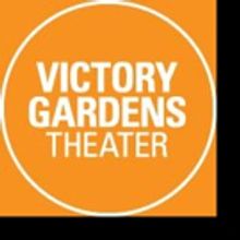 Victory Gardens Sets Cast of HILLARY AND CLINTON World Premiere