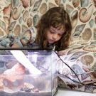 New Museum Artist-In-Residence Presents SHABBY BUT THRIVING