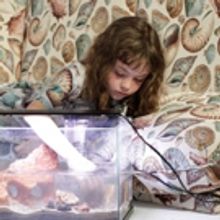 New Museum Artist-In-Residence Presents SHABBY BUT THRIVING