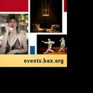 Brooklyn Arts Exchange Announces its 2016/17 Performance Season