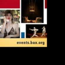 Brooklyn Arts Exchange Announces its 2016/17 Performance Season