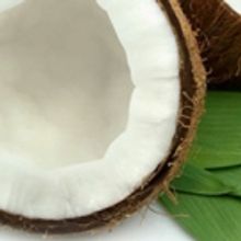 The Ringwald Theatre's Gay Play Series Opens 6/16