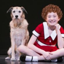 Rescue Canine Star in ANNIE Inspires Pet Adoption Event at Kravis Center