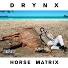 New Album by DRYNX (Ariel Pink, Lansing-Dreiden) Out 2/24