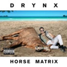 New Album by DRYNX (Ariel Pink, Lansing-Dreiden) Out Today