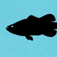 The Coal Mine Theatre to Stage Jez Butterworth's THE RIVER