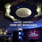 Harold Sanditen's Open Mic Highlights Presents HARPS, HIPS & JAZZ