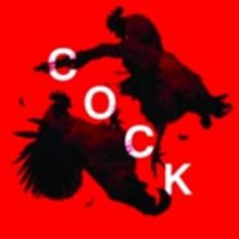 BWW Review: COCK, Tron Theatre, Glasgow, February 10 2016