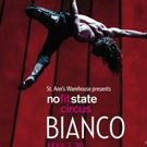 St. Ann's to Stage Immersive BIANCO Under Brooklyn Bridge