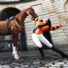 BWW Reviews: JOCKEY Spellbindingly Gives Shape to the Racing World