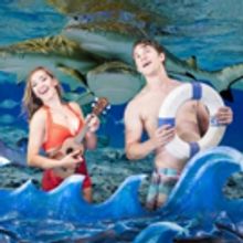 Photo Flash: Meet the Cast of THE FOLK SINGER at TNC