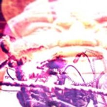 On the Cusp Productions Presents REFLECTIONS OF A CAUSE as Part of Sydney Fringe